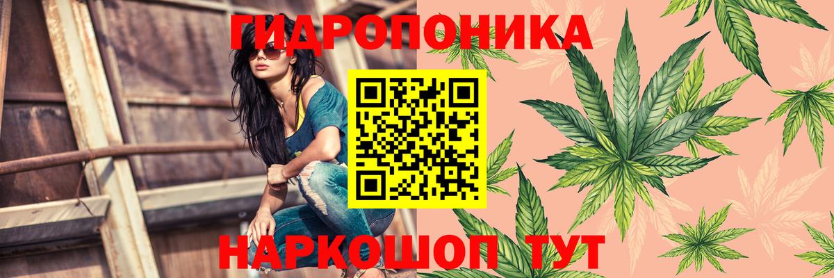 Шишки марихуана White Widow Балашов